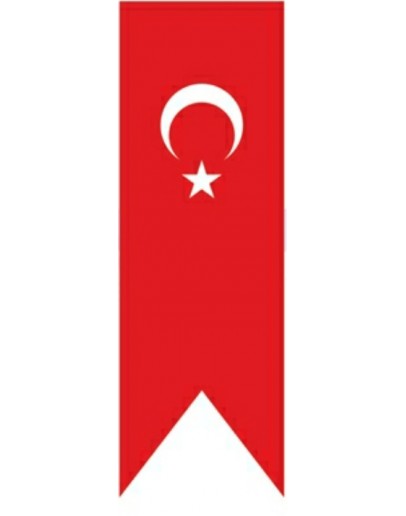 Türk Bayrağı Kırlangıç